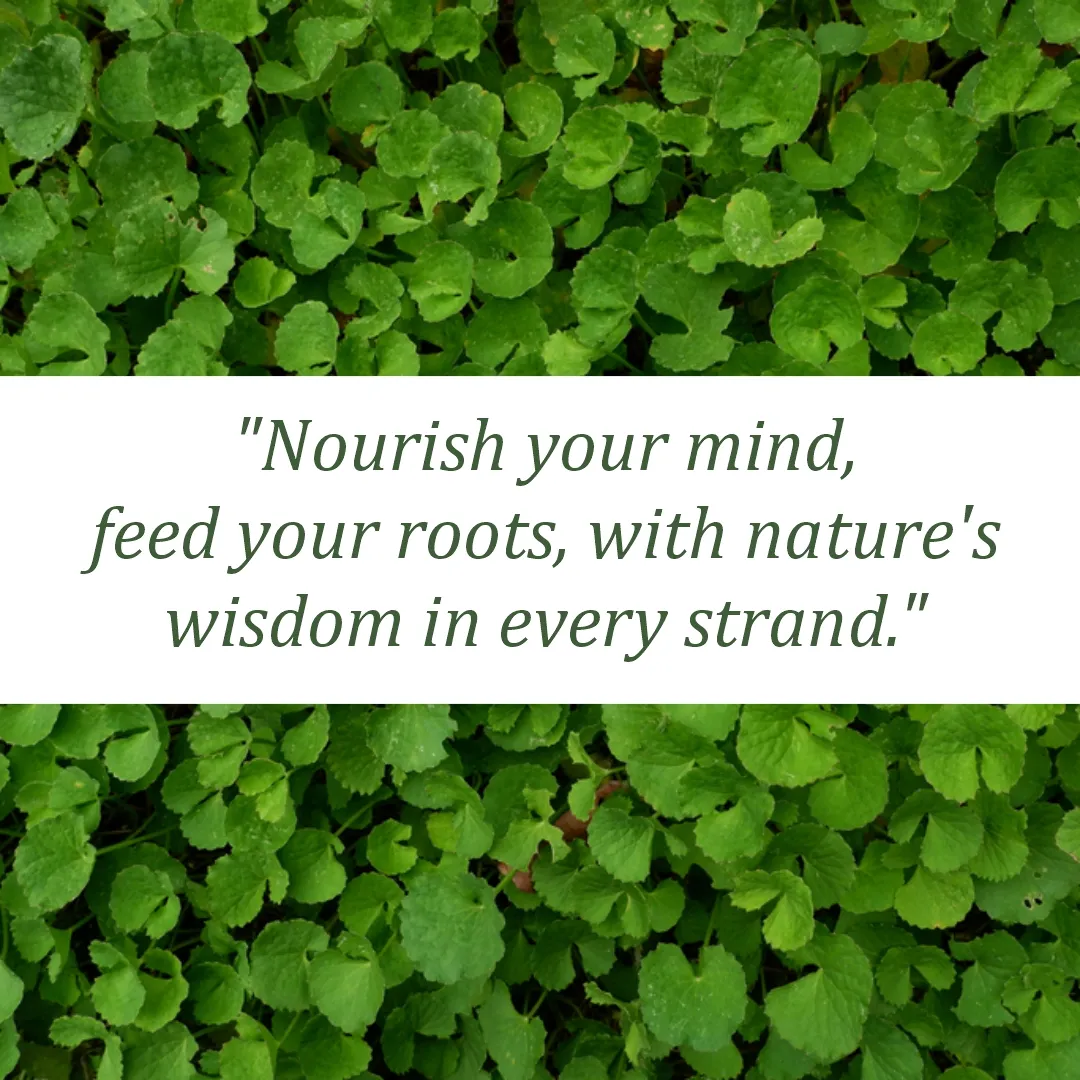 Ayurvedic Brahmi Powder - www.naturalkhadi.com